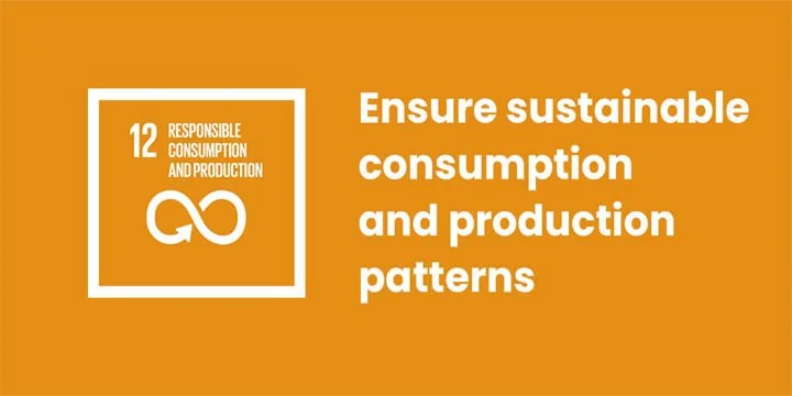 SDG 12: Ensure Sustainable Consumption & Production Patterns