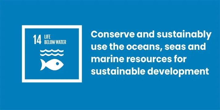 SDG 14: Conserve & Sustainably Use The Oceans, Seas & Marine Resources
