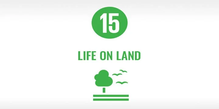 SDG 15: Life On Land