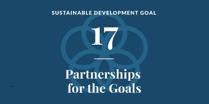 SDG 17: Revitalize The Global Partnership For Sustainable Development