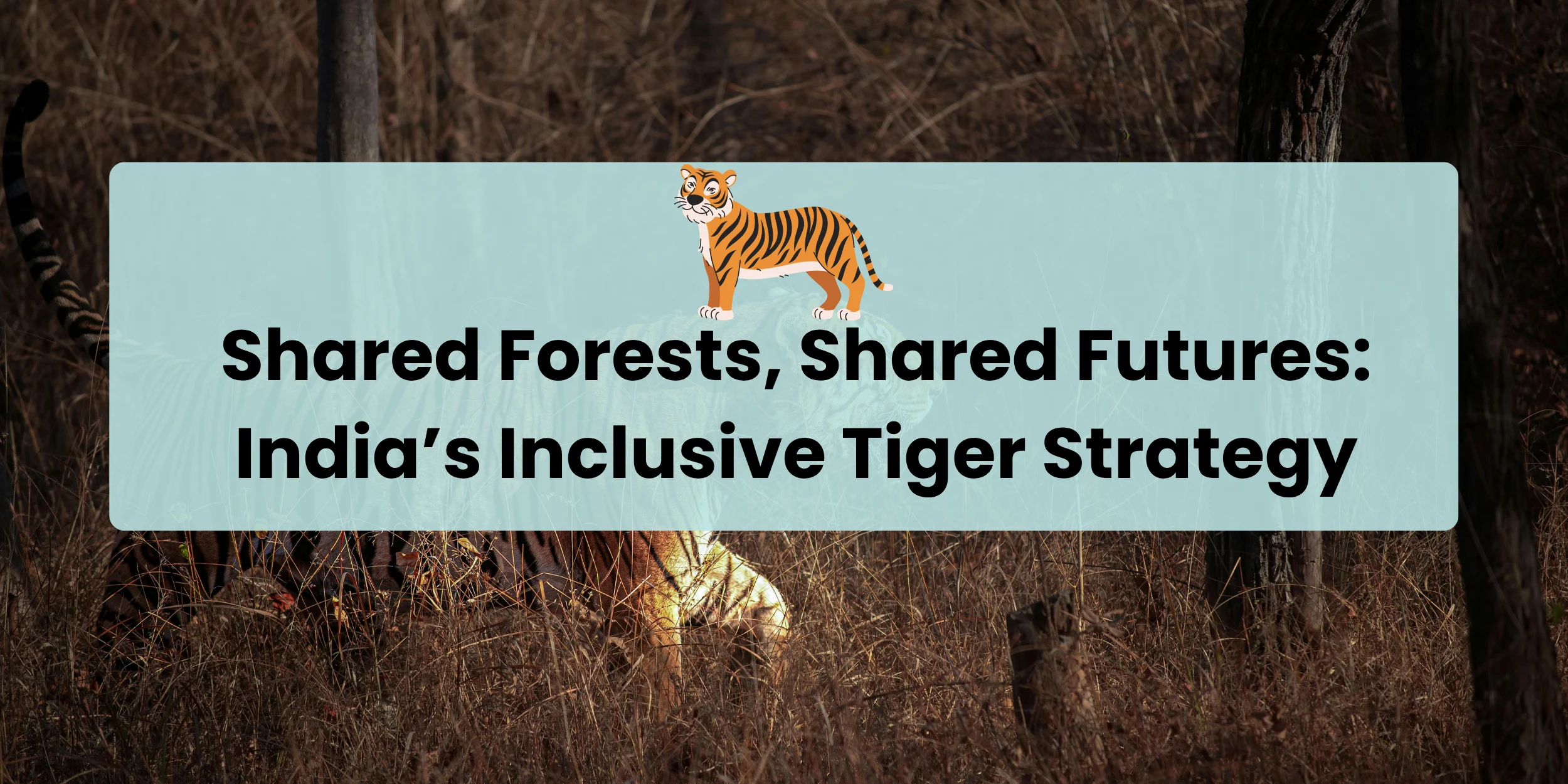 shared-forests