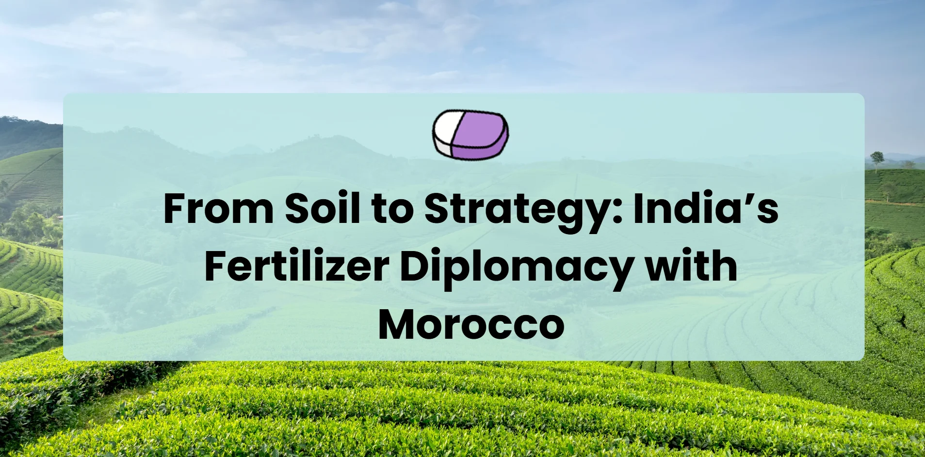 soil-strategy