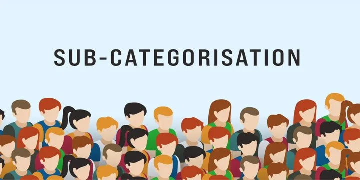 Sub Categorisation