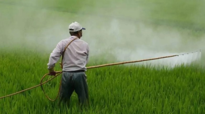 Fertiliser Sector