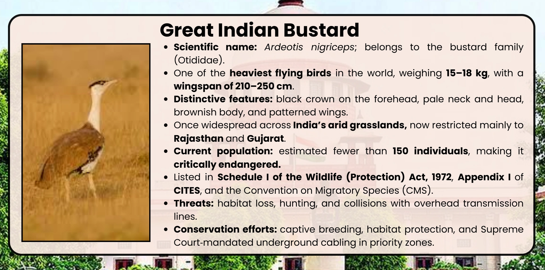greate-indian