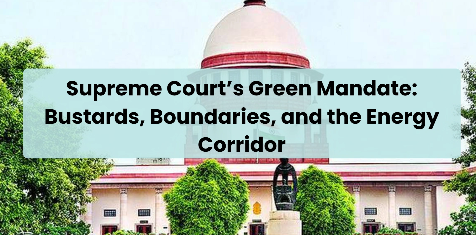 supreme-cords-green