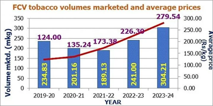 Tobacco Board Focuses On Sustainability & Growth