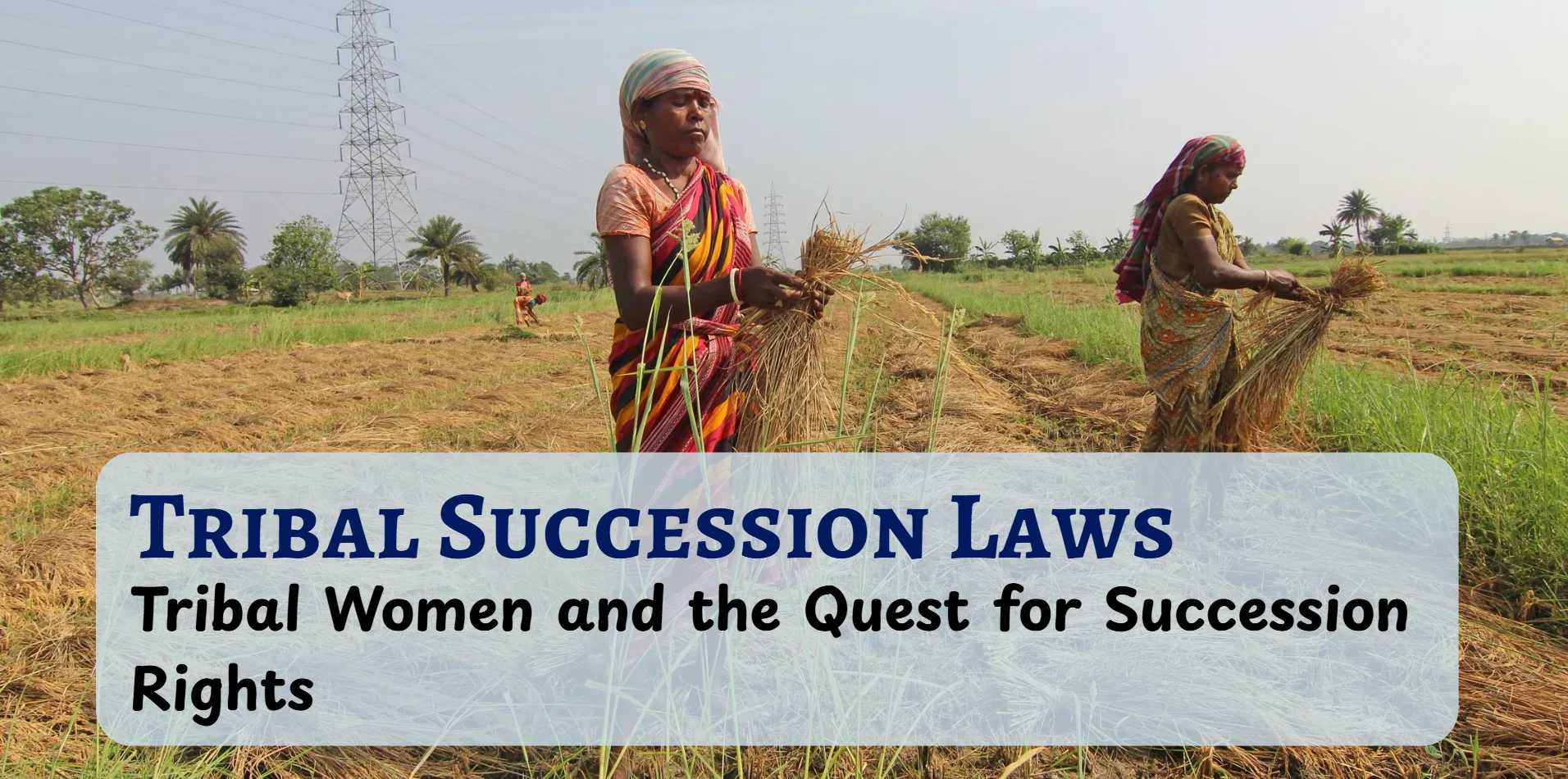 Tribal Succession Laws in India