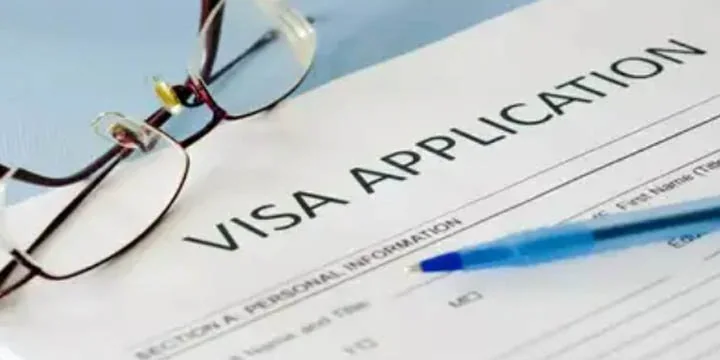 Two New Categories Of Visas Launched By India