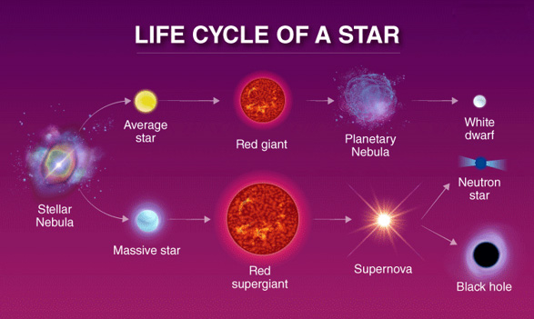 Life Cycle
