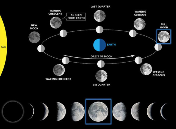 Moon