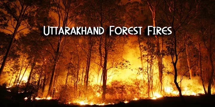Uttarakhand Forest Fires